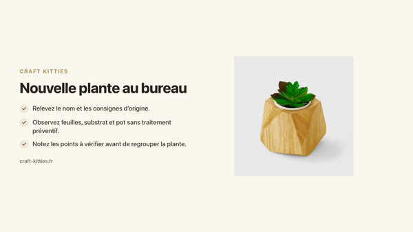 Nouvelle plante au bureau : une fiche d’inspection avant de la regrouper — Craft Kitties