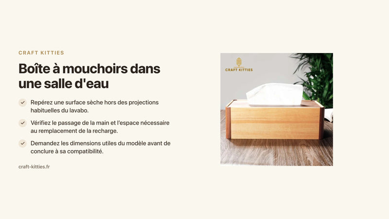 Boîte à mouchoirs dans une salle d'eau : choisir un emplacement hors des projections — Craft Kitties