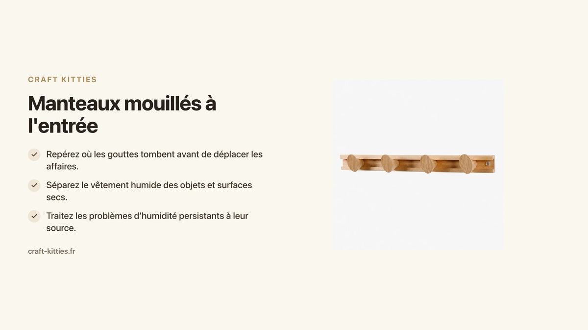 Manteaux mouillés à l'entrée : séparer la zone humide des objets secs — Craft Kitties