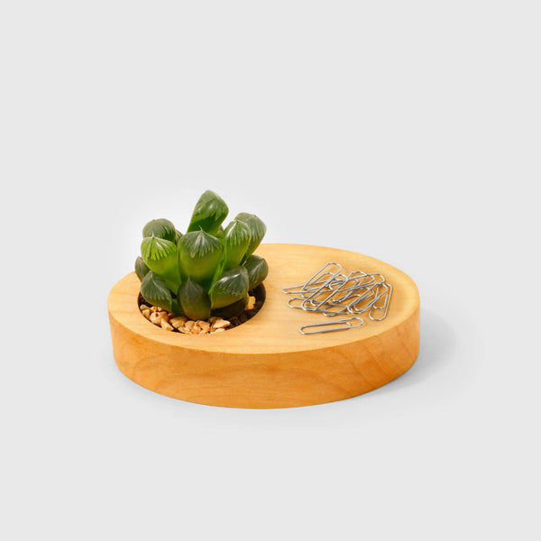 Pot à plante en bois pour bureau — décoration minimaliste