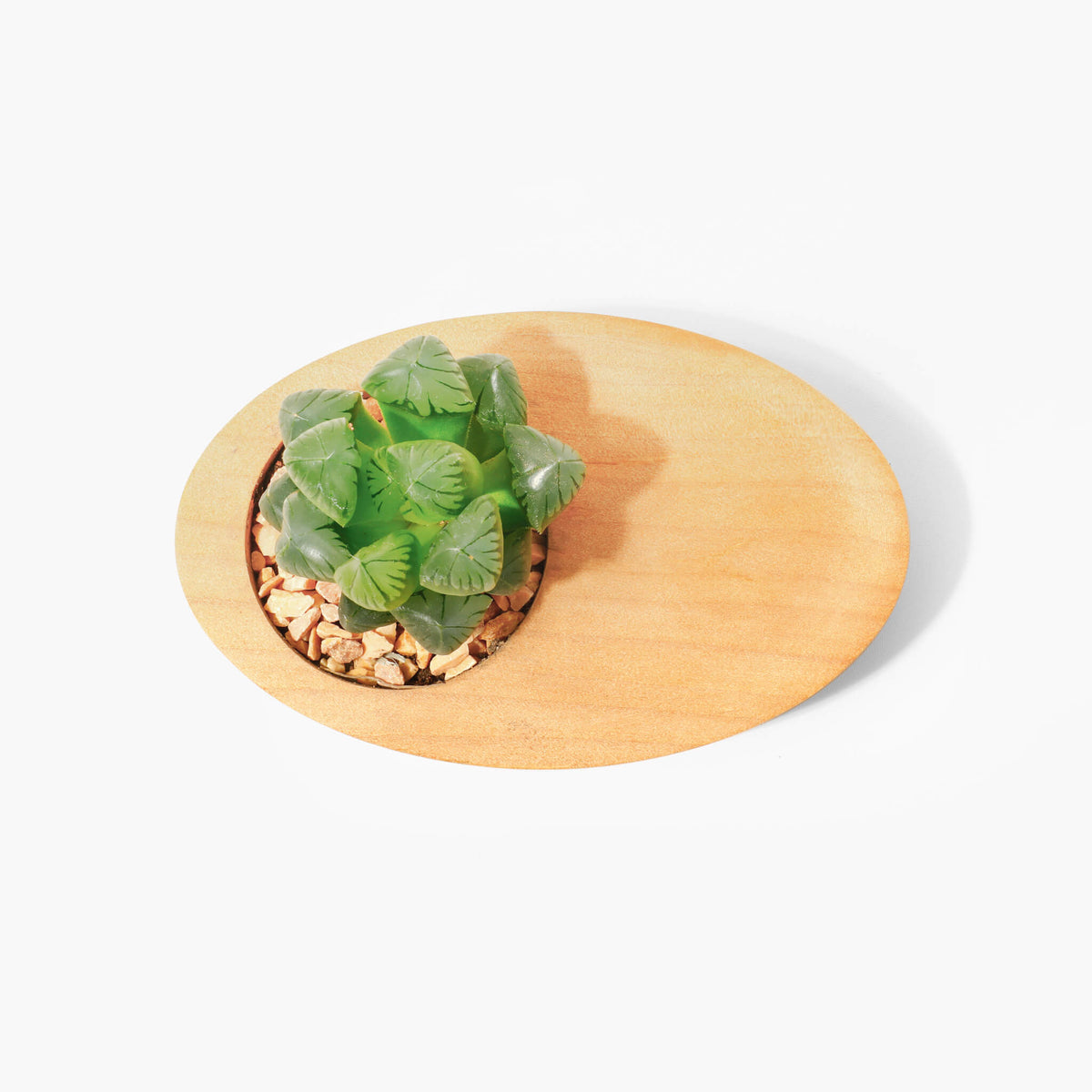Pot à plante en bois pour bureau — décoration minimaliste