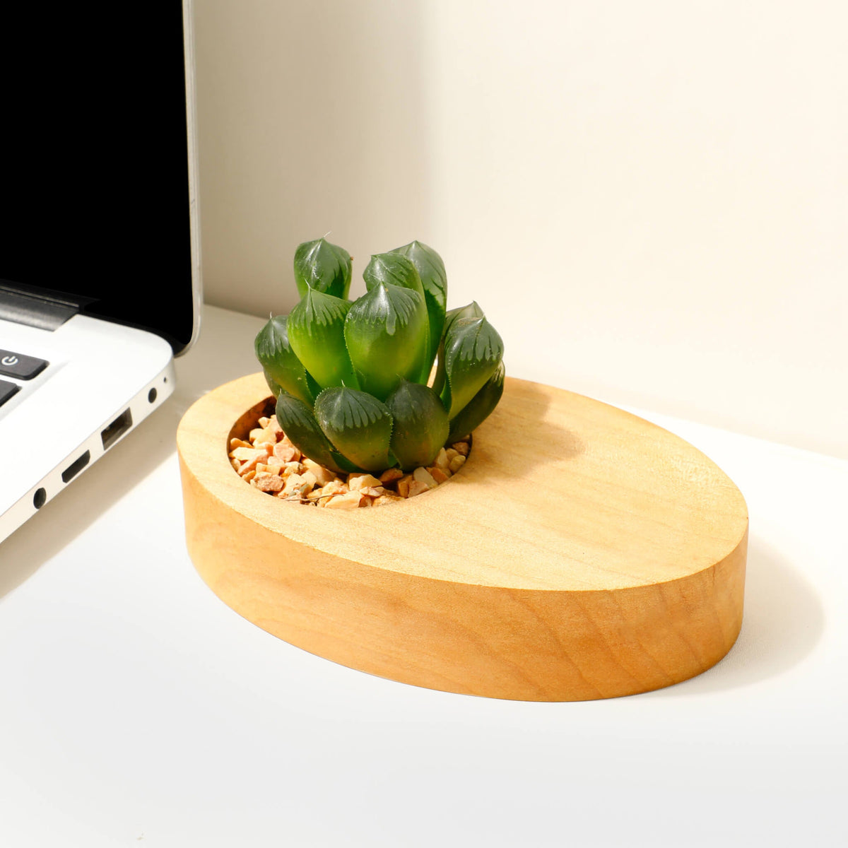 Pot à plante en bois pour bureau — décoration minimaliste