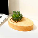 Pot à plante en bois pour bureau — décoration minimaliste