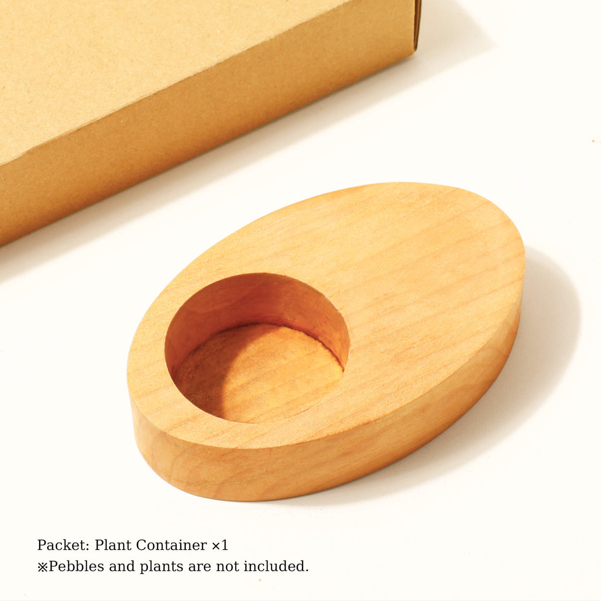 Pot à plante en bois pour bureau — décoration minimaliste