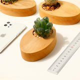 Pot à plante en bois pour bureau — décoration minimaliste