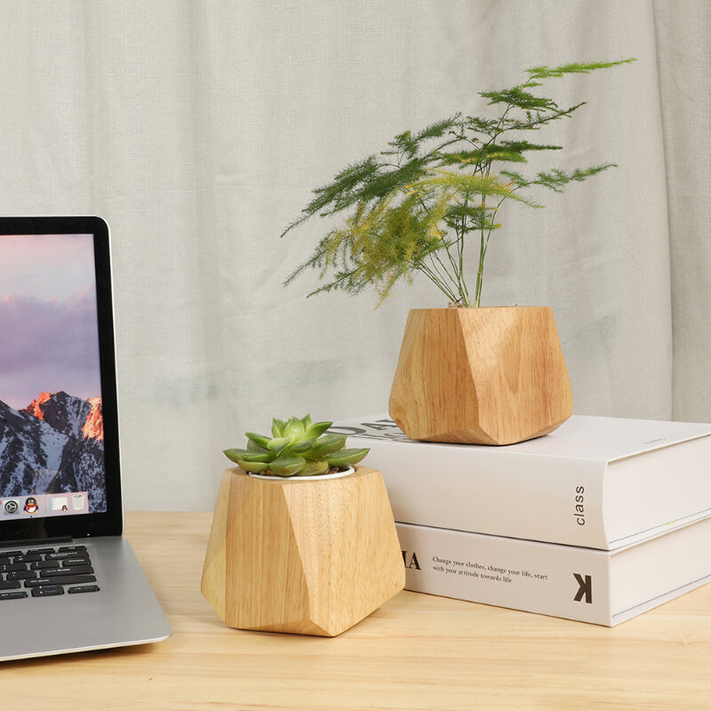 Pot à plantes en bois peuplier & hévéa — Cactus & herbes aromatiques
