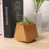 Pot à plantes en bois peuplier & hévéa — Cactus & herbes aromatiques