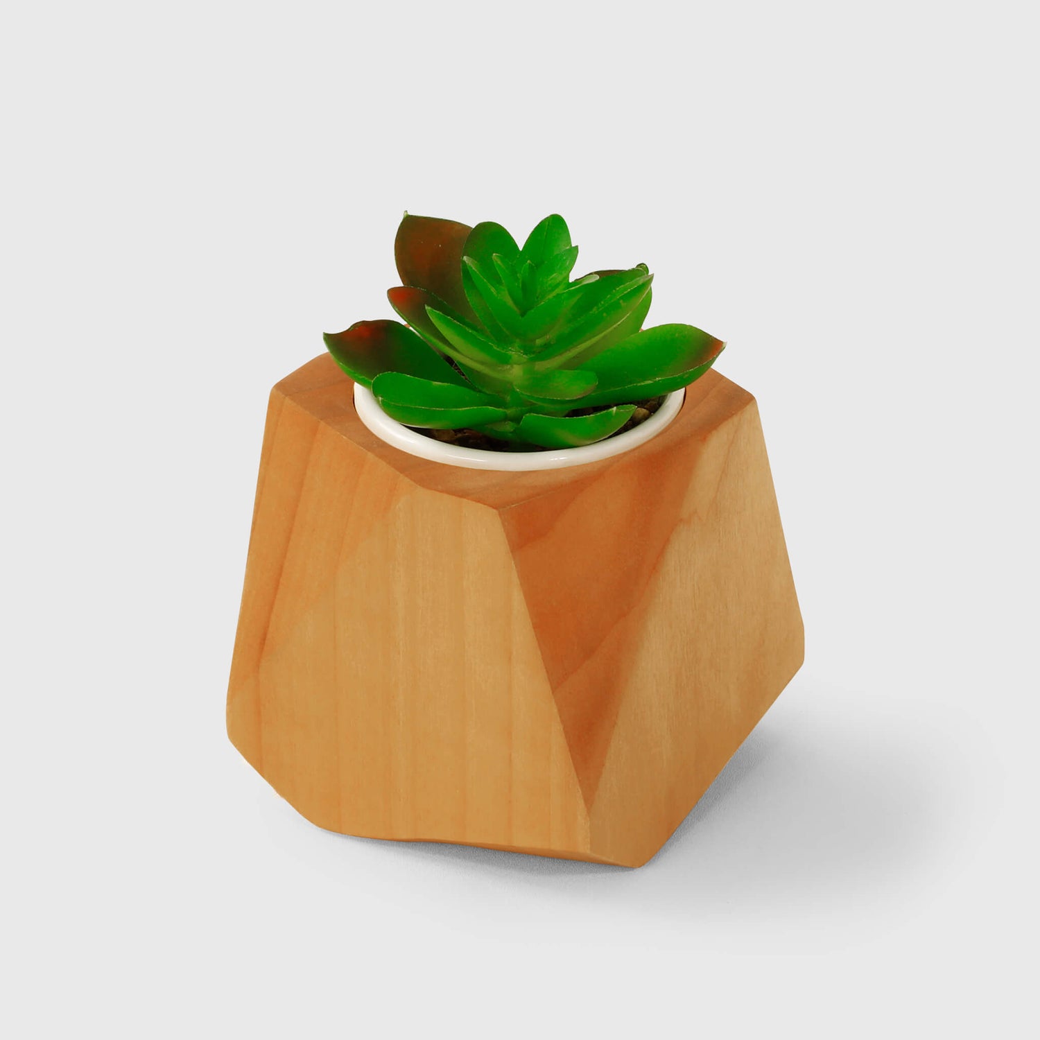 Poplar-Plant-Pot-Wood-Plant-Holder-For-Cactus-Herbs