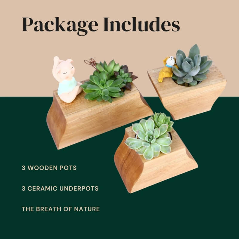 Ensemble 3 pots à plantes en bois avec insert céramique — Bureau & Déco
