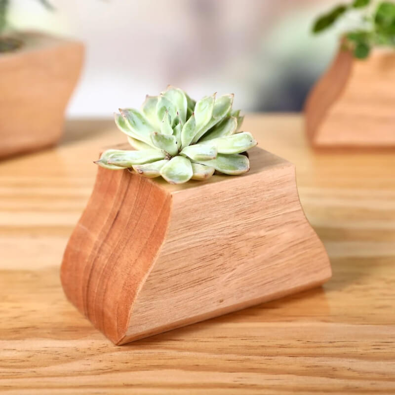 Ensemble 3 pots à plantes en bois avec insert céramique — Bureau & Déco