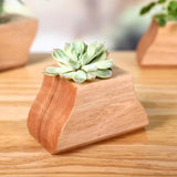 Ensemble 3 pots à plantes en bois avec insert céramique — Bureau & Déco