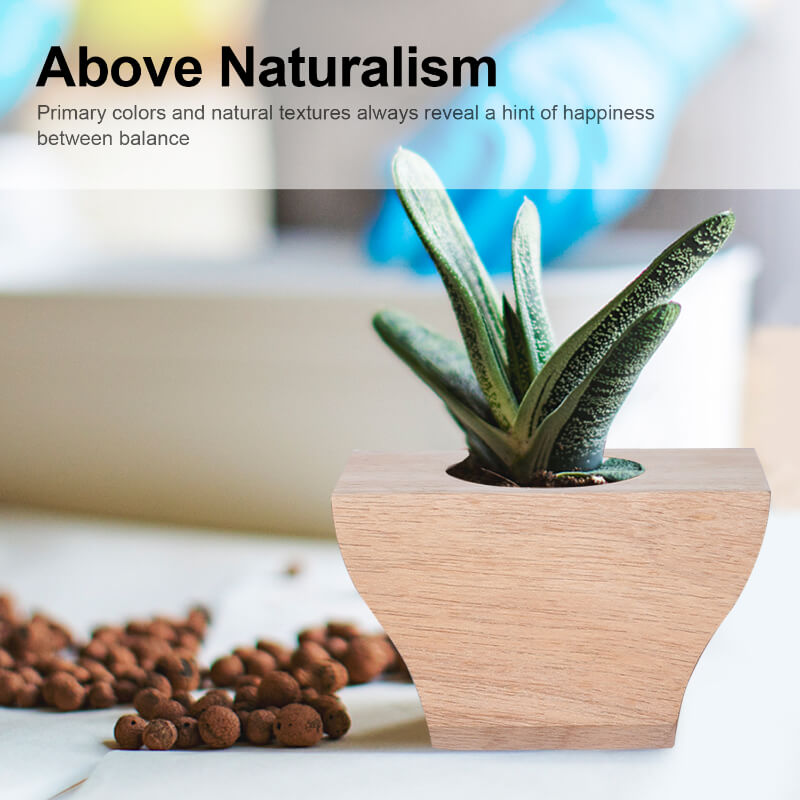 Ensemble 3 pots à plantes en bois avec insert céramique — Bureau & Déco