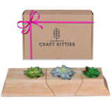 Ensemble 3 pots à plantes en bois avec insert céramique — Bureau & Déco
